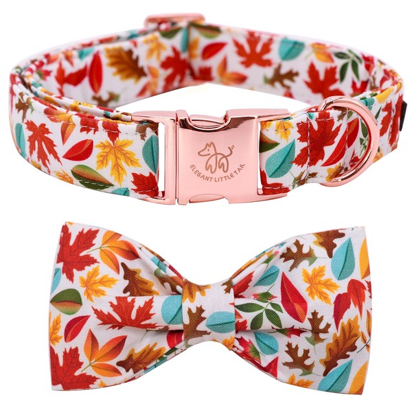 Elegant little tail Autumn Dog Collar, Male or Female Dog