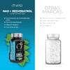 VITO - NAD+ con Resveratrol y Coenzima Q10-60 Cápsulas Veganas