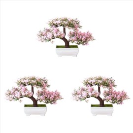 Maceta Pequeña Con Forma De Bonsái, 3 Unidades De Plantas Ar
