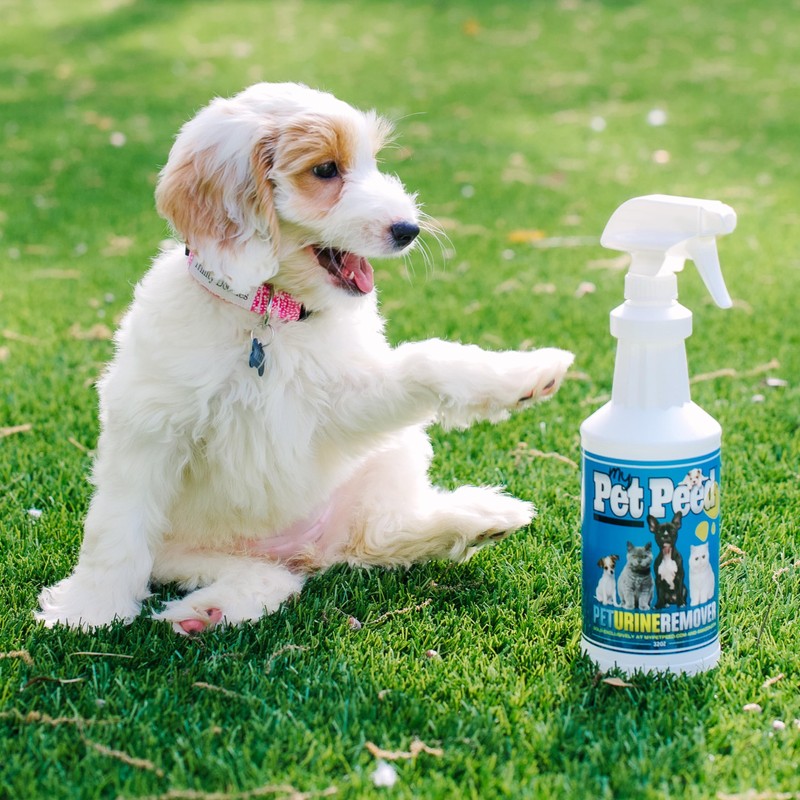 My Pet Peed - Pet Stain & Odor Remover (32oz