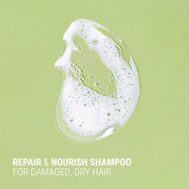 Antipodes Fig + Feijoa Repair & Nourish Shampoo 340ml
