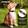 JOYEEIIOO Martingale Dog Collar, Adjustable Nylon Reflective Collar with Quick