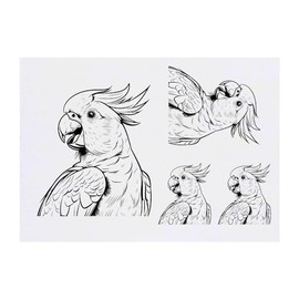 Azeeda 4 x 'Kakadu mit offenem Schnabel' Temporäre Tattoos - Wasserfest, Hautfreundlich & Ungiftig · Transfers in Verschiedenen Größen (TO00073192)