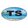 Generic Tarpon Springs Florida Oval Bumper Sticker D1178