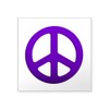 CafePress Purple Fade Peace Sign Sticker Square Bumper Sticker Car