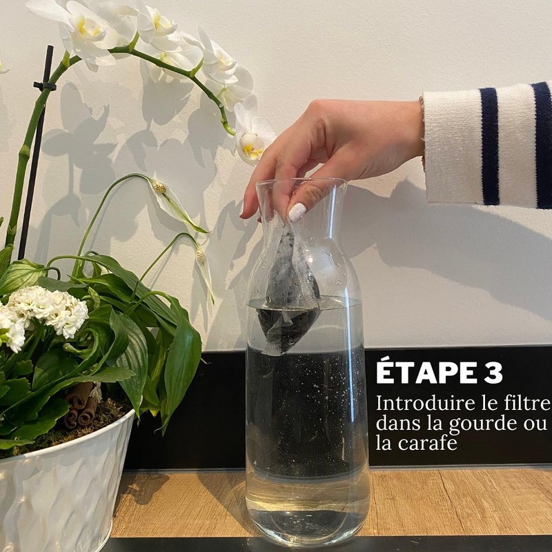 French Vegetable Activated Carbon Granules Pack of 2 - 20