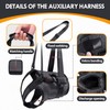 PAWIVID Adjustable Dog Harness for Rear Leg - Support Harness