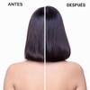Alfaparf Milano Sdl volumizing low shampoo
