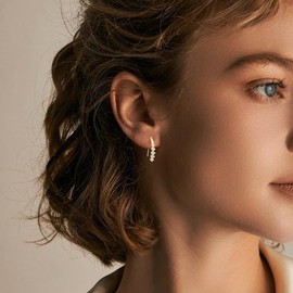 PHNIBIRD 925 Sterling Silver Earrings with Cubic Zirconia Elegant Hook Earrings Sparkling Jewellery Gift for Women Girls, small, Sterling Silver, Cubic Zirconia