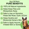 Pure Sole Bug Off Balm - All Natural Ointment for