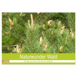 Naturwunder Wald (Wandkalender 2026 DIN A2 quer), CALVENDO Monatskalender: Der Wald, ein unbezahlbares Ökosystem. (CALVENDO Natur)