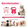 2 Collares Gato Rosa Con Campana Ajustable Desmontable 8-12p