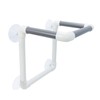 Bird Portable Suction Cup Shower Perch Parrot Window Wall Standing