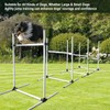 plzzree Dog Agility Jump Training Equipment: Dog Agility Jumps Course