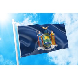 DMSE New York State Flag 2X3 Ft Foot 100% Polyester 100D Flag UV Resistant (2' X 3' Ft Foot)