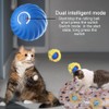 WPOYM Interactive Cat Toys Ball Fast Rolling in Pouch, Motion