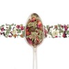 Birds & Bees Teas - Red Raspberry Leaf Tea Pregnancy,