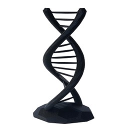 DNA Double Helix Science Gift 3D Printed