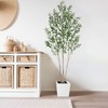 6ft Faux Olive Tree, Fake Olive Tree with Realistic Trunk