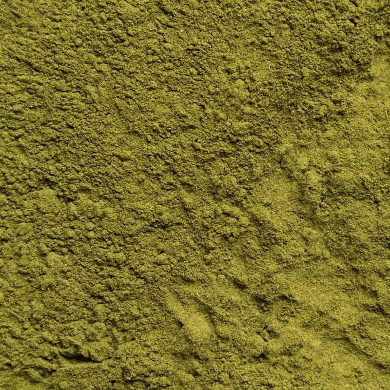 Moringa Powder Organic 250 g - Horseradish Tree - Moringa