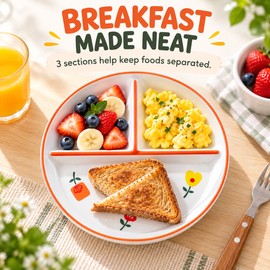 8-Inch Bone China Divided Plate for Breakfast & Meals – 3-Section Round Dinner Plate with Hand-Drawn Stripe Design