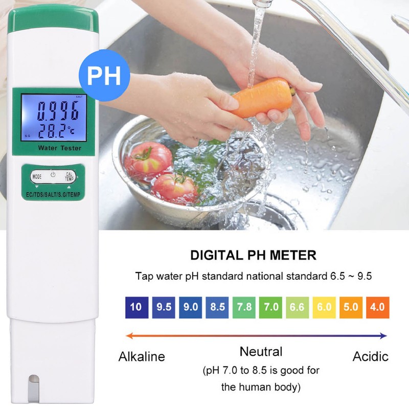 Water Quality Tester 5 in 1 EC TDS Salt SG