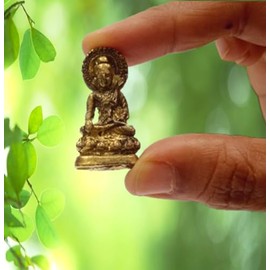 Purpledip Rare Miniature Statue Gautam Buddha in Varada Mudra, Unique Collectible Gift (11400)