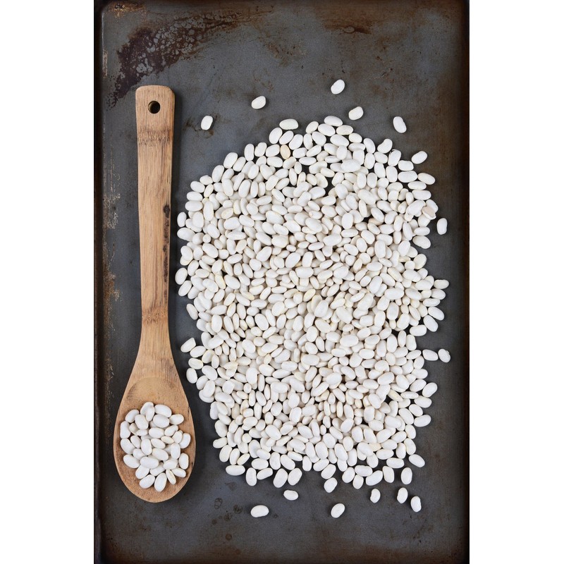 Hunza Organic Great Northern Beans (2 lbs)