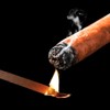 Woho 120 Packs Spanish Cedar Cigar Lighter Cedar Wood Spills