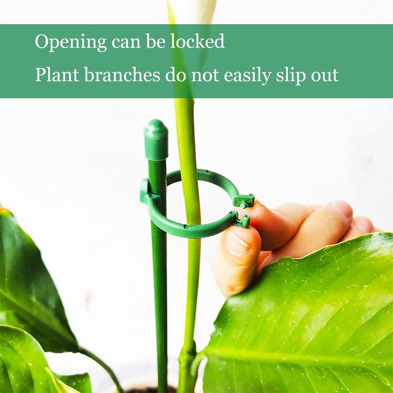 Belit 8 Pack Small Plant Support Plant Stakes, Adjustable Garden