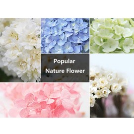 4 Pack 10ml Car Perfume Pendant Hanging Bottle With Flower,Empty Colorful Glass Car Air Freshener Diffuser Essential Oil Perfume Vials Diffuser Ornament With Cork & Hanging String-FREE Funnel,Dropper