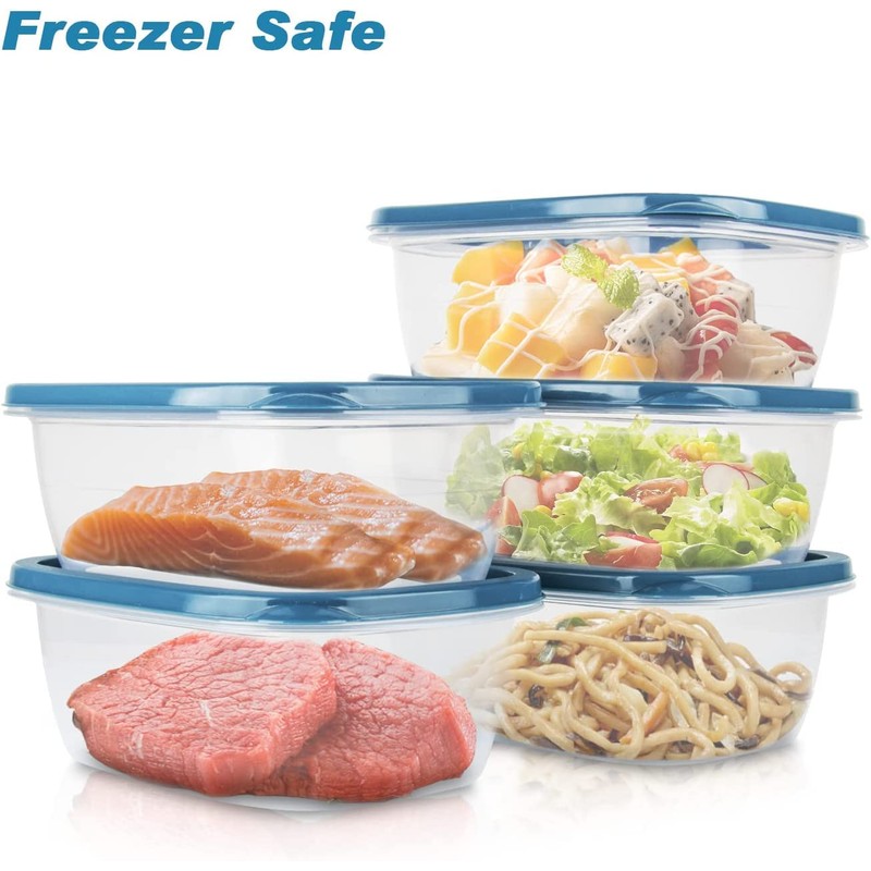 EFISH 10PCS Rectangle Plastic Portion Box Sets with Lids.Food Storage