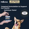 Dogletics Gut Health Probiotic & Prebiotic - 90ct Support Stomach
