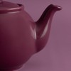 Price & Kensington Tetera de gres de 6 tazas, magenta