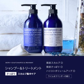 Natural Ingredients 96% superfood lab 【 Scalp 】 Essence 【 Refreshing 】 Treatment Main Body 480g SUPERFOOD LAB Non-Paraben Biotin Blended Additive-Free SFL