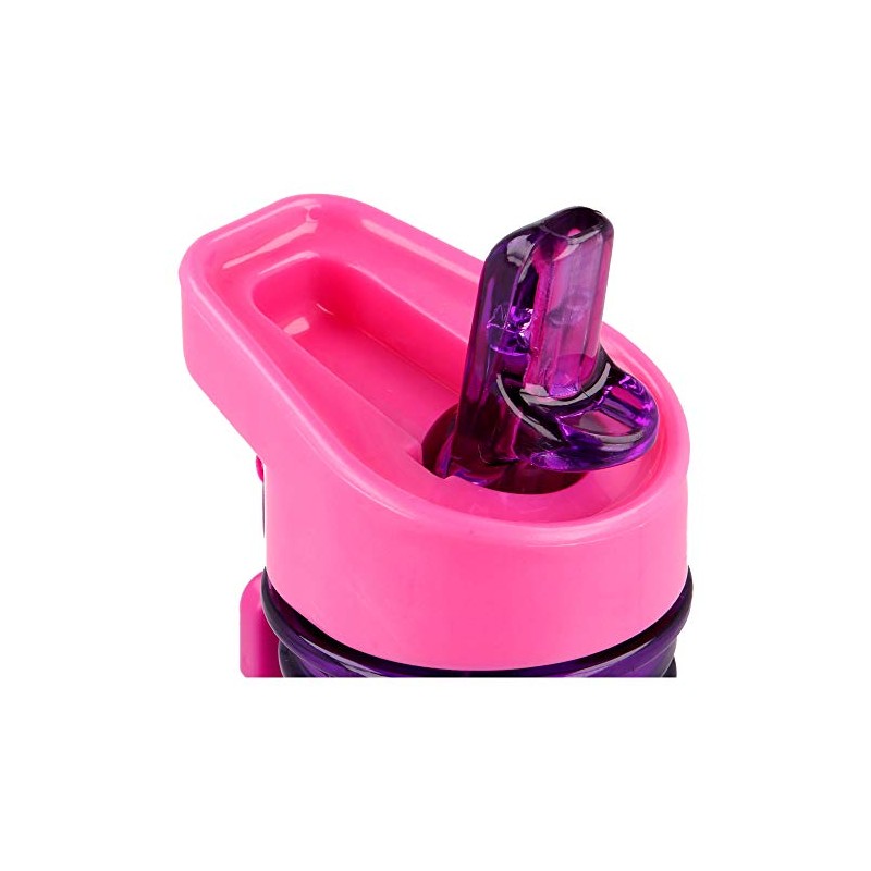 Princess Friendship Adventures Childrens Drinks Water Bottle Tritan Back to