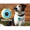Dapper Dog - Dog Tag Silencer with Tag Ring (Teal
