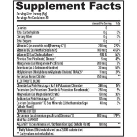 Dr. Ashley Wellness Electrolyte Plus Powder Drink Mix | Full Spectrum Electrolytes – Gluten Fee and