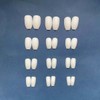 Carufin Pack of 24 White Matte False Nails Sticker Press