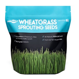 Wheatgrass Seeds | Non GMO | Grown in USA Wheat Grass Seeds | from Our Farm to Your Table (10 Pound)