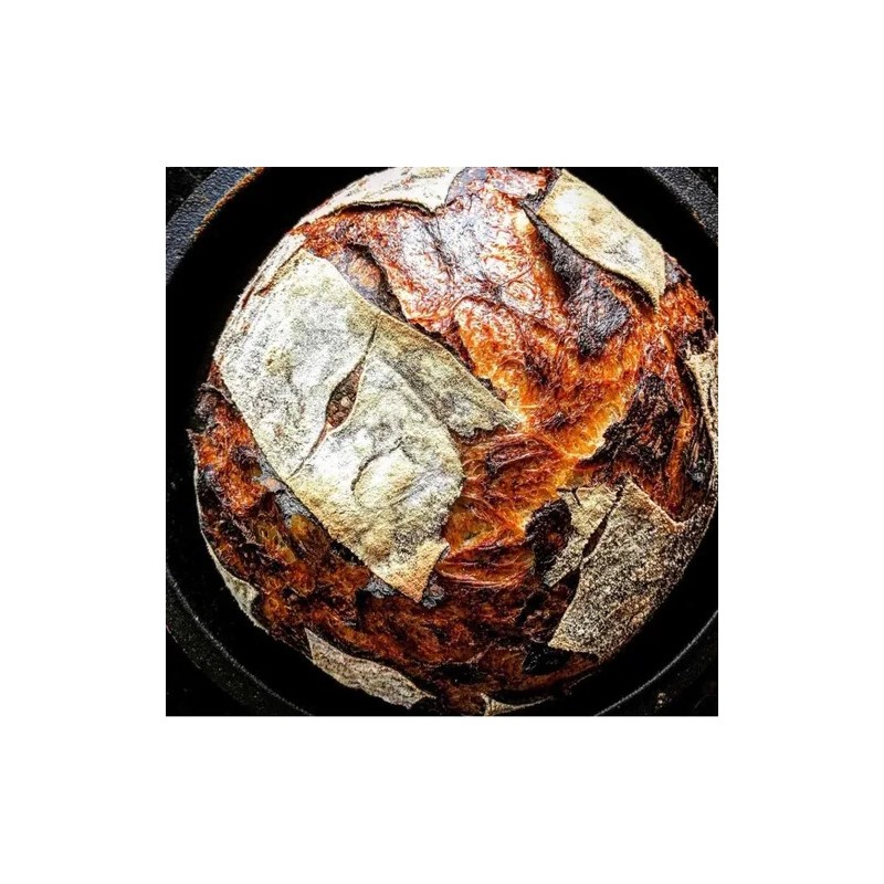 Levadura Instantanea, Le 5 Stagioni, Levadura Seca, 500g