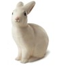 Egmont Toys Rabbit Lamp