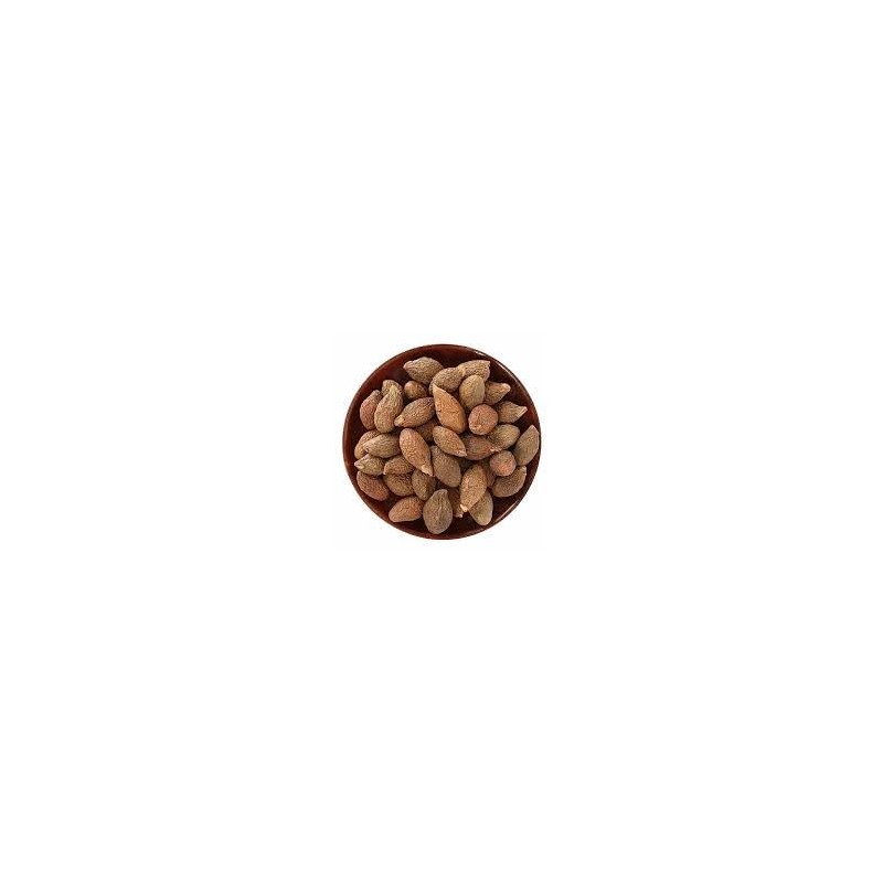 Malva Nut | Dried Sterculia Lychnophora | Pangdahai | 100%