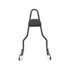 Wsays 22.25" Tall Sissy Bar One-Piece Passenger Backrest w/Pad Detach
