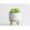 Deco Meet Luma – Modern 3D-Printed Planter with Elevated Base