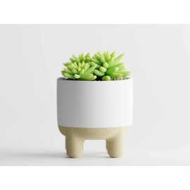 Deco Meet Luma – Modern 3D-Printed Planter with Elevated Base | Customizable Two-Part