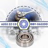 Ball Bearing 6202 ZZ C3 BB1-0622DD for the Engine with