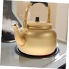 CAXUSD 1l Korean Style Water Boiler Electric Kettle Teapot Practical