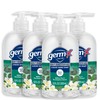 Germ-X Antibacterial Hand Soap, 12 Oz (Pack 4), Moisturizing Liquid