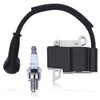 Hyceker Ignition Coil Spark Plug Kit For Stihl BR800 BR800X